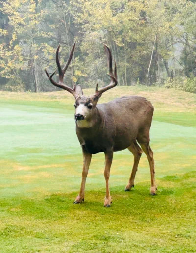 first year in the books at mission hills 015