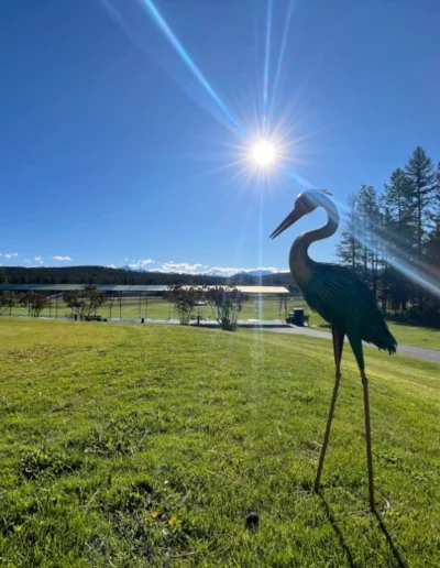 first year in the books at mission hills 059