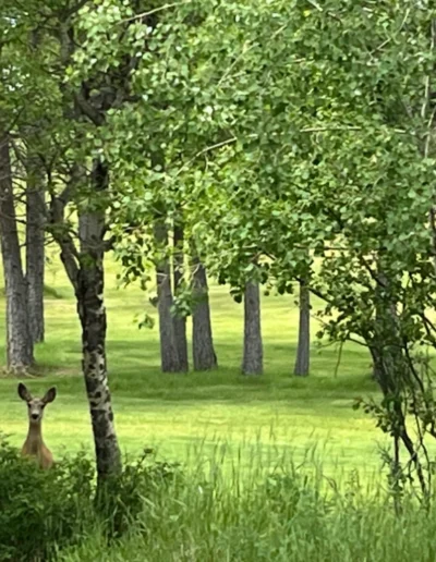 first year in the books at mission hills 126