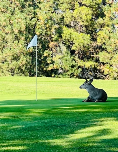 first year in the books at mission hills 160